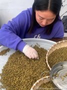 米斛女人一周吃幾次好呢(米斛女人一周吃幾次最佳？)